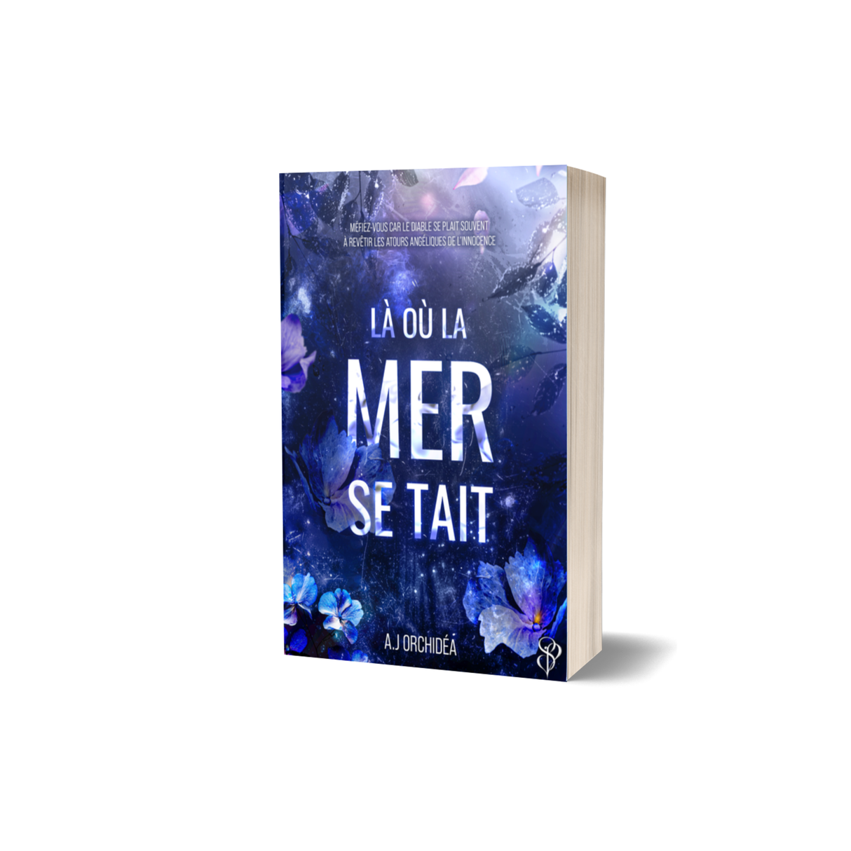 Là où la mer se tait